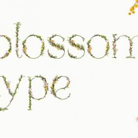 网页设计每周精选（一)