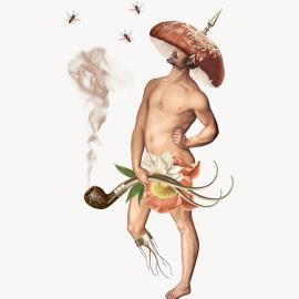 Randy Mora设计的Strangelove Labels瓶子标签艺术