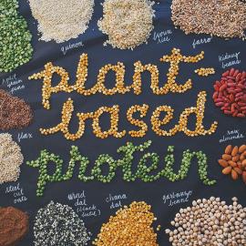 Becca Clason创意字体设计欣赏