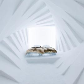 优卡斯亚维的 冰雪酒店 艺术套房25周年纪念