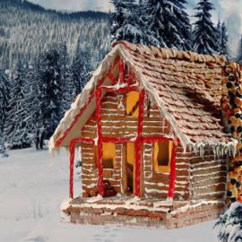 圣诞节小屋Candy house