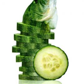 奇奇怪怪的蔬果生物