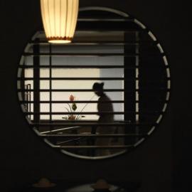 古典中式虚实写意 餐厅设计