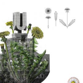 鲁尔药草品牌形象设计