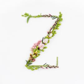 俄罗斯“花开低语”字体设计