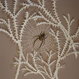 Jo Lynn Alcorn创意纸艺广告