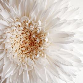 Tiffanie Turner纸艺赏析