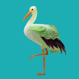 Dan Cretu 的美食创意