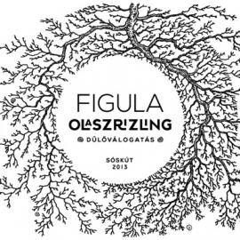 Figula Olaszrizling 2013酒标设计