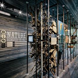 可持续性树展览计划