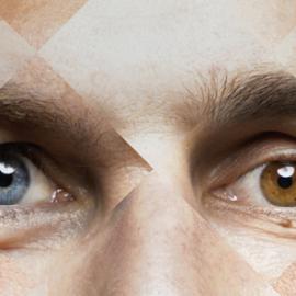 2011荷兰设计周视觉形象设计