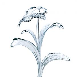 主题为“水”的设计（一）―― by Alexandra Zaharova & Ilya Plotnikov