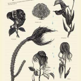 日本知名设计机构Terashima Design海报作品