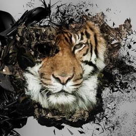 40个运用photoshop处理的飞溅效果图片欣赏