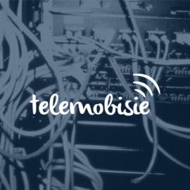 波兰Telemobisie品牌VI设计