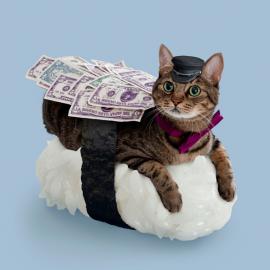 寿司猫真的存在吗？