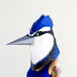 2nd SKIN Contest大赛得奖和入选作品欣赏