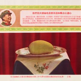 毛泽东的芒果狂热