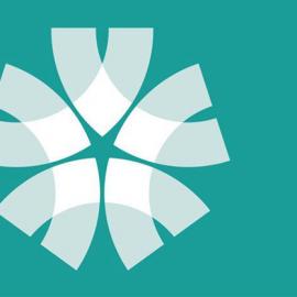 Carfi 视觉形象设计