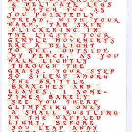 Marian BantjesTED演讲：错综的设计之美