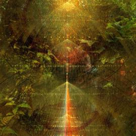 Tatiana Plakhova《生物圈》