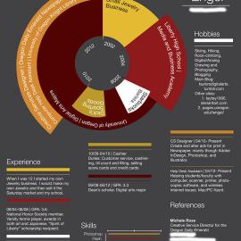 富于创意的艺术简历