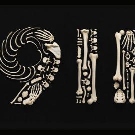 Francois Robert 骷髅的艺术