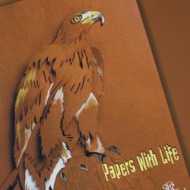 Sabeena Karnik 纸艺设计作品欣赏