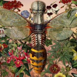 Ciencias Naturales by Lewis Minor