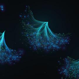 Tatiana Plakhova作品：数据可视化