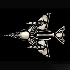 不可思议的人骨拼图