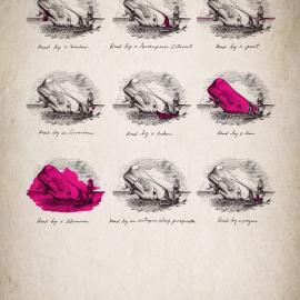 Ofixpres 2011宣传海报