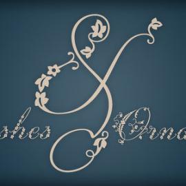 Daily Inspiration创意字体精选（二）