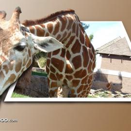 30张超有创意出界设计