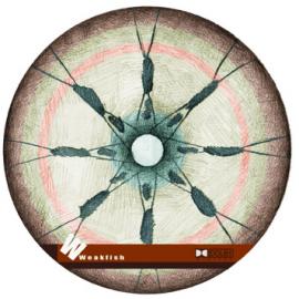 风格另类的光盘封面设计