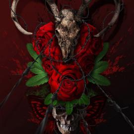 墨西哥Zerj19设计作品欣赏