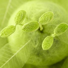 ipad专用壁纸全收录二