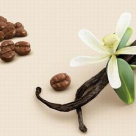 Estúdio Romeu & Julieta平面设计欣赏