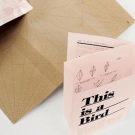 瑞典Magdalena Czarnecki平面设计