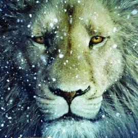 2010和2011年最佳电影海报欣赏（二）