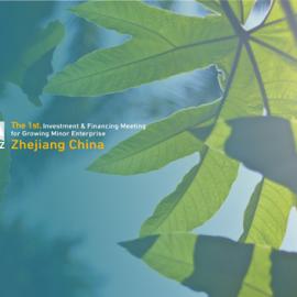 首届浙融会IFMZ形象设计