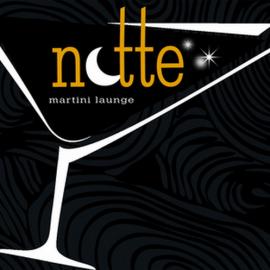 Notte平面设计欣赏