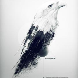 比利时设计师Maxime Quoilin简洁平面设计