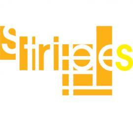 Strips书籍排版设计