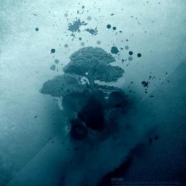 比利时设计师Maxime Quoilin作品