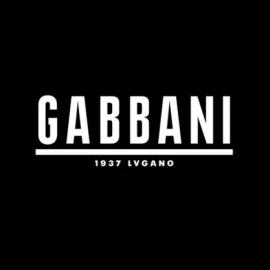 Gabbani视觉识别系统设计