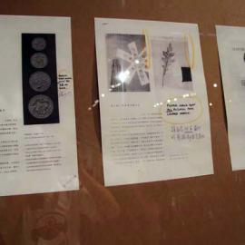 王序――独立岁月（文献展）（四）