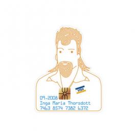 Visa 信用卡式样