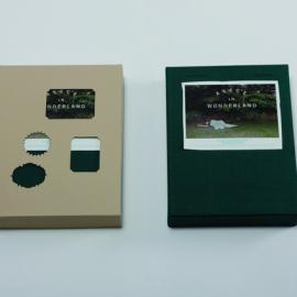 爱丽丝漫游奇境2011