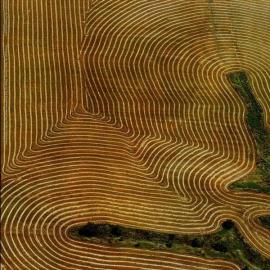 37张瑞士航空经典老海报欣赏